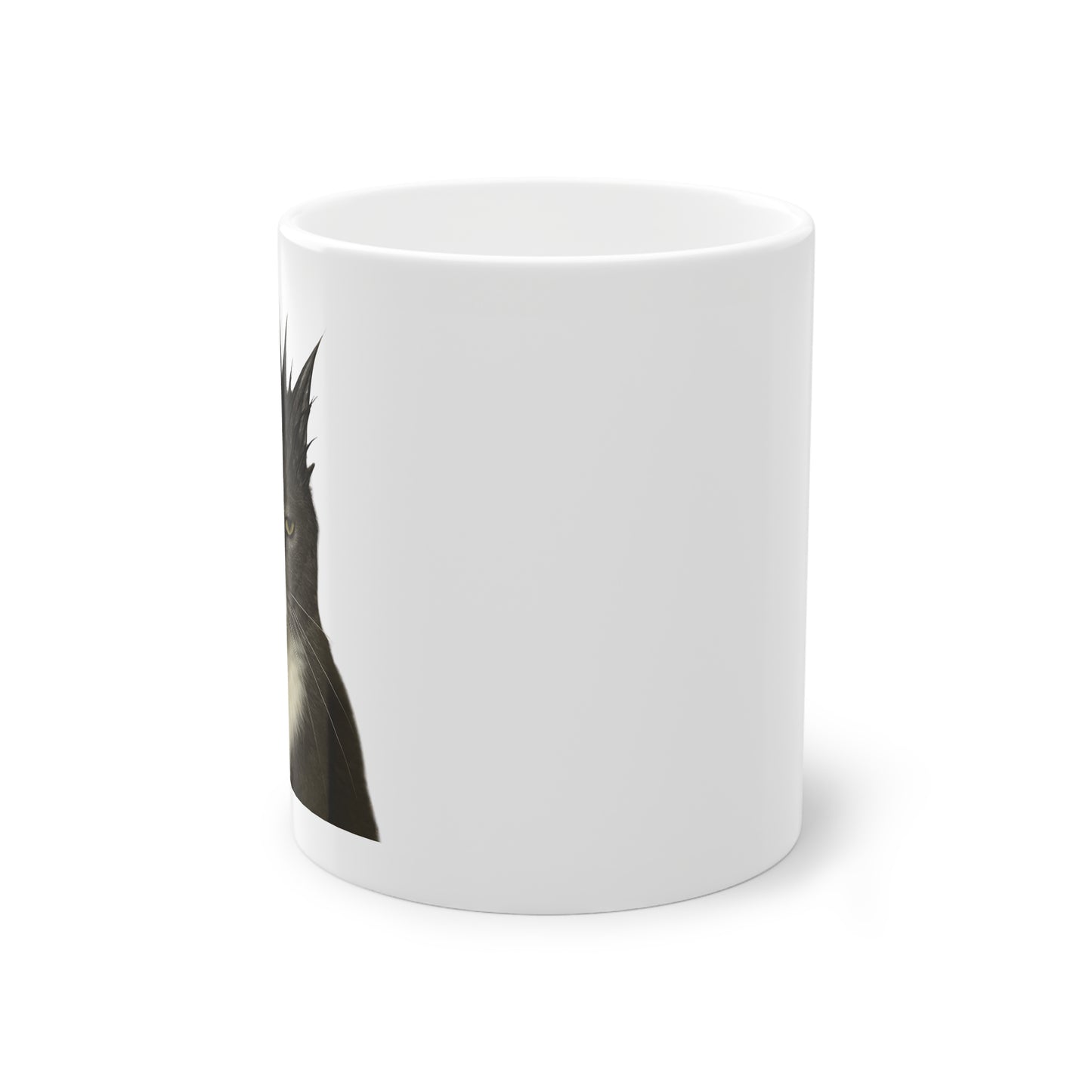 Mugshot Grey Cat