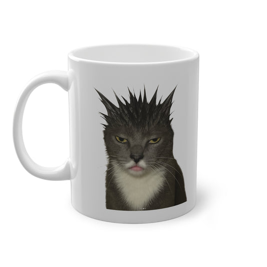 Mugshot Grey Cat