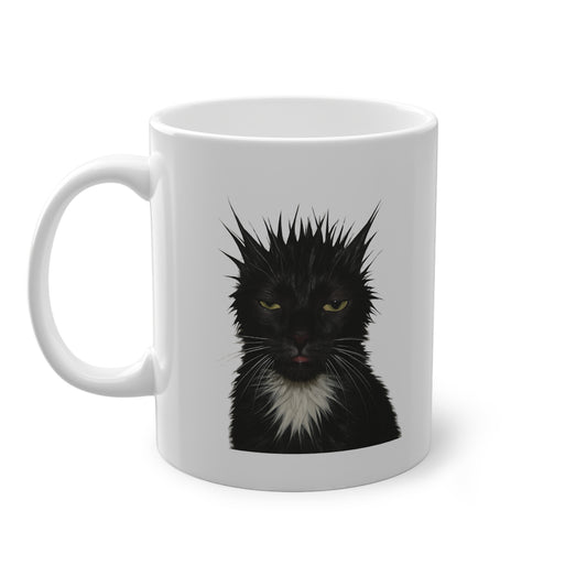 Mugshot Black Cat